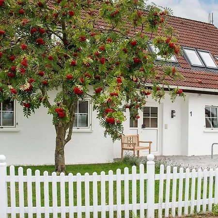 Reiher 1 Sued Grömitz