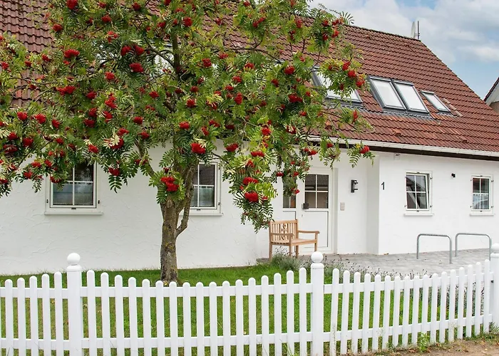 Reiher 1 Sued Grömitz