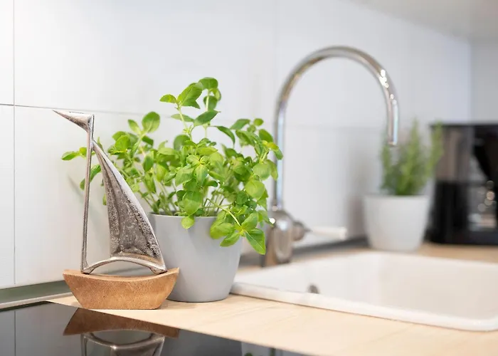 Reiher 1 Sued * Grömitz